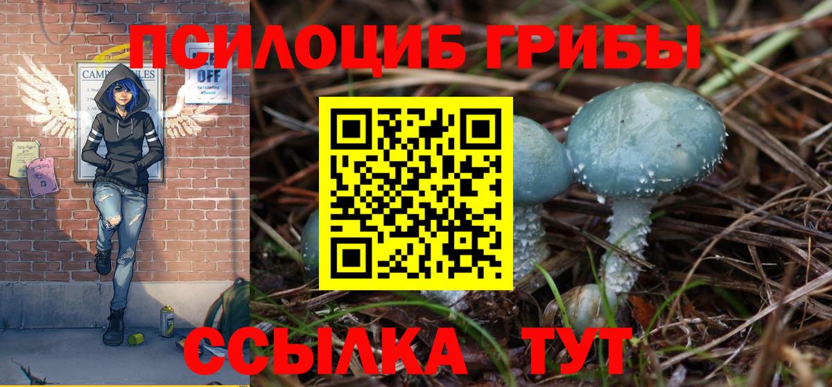 Псилоцибиновые грибы мицелий  Псилоцибиновые грибы Magic Shrooms  Тавда  Вход с VPN 