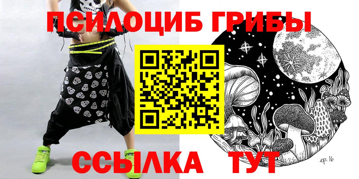 Псилоцибиновые грибы прущие грибы Тавда