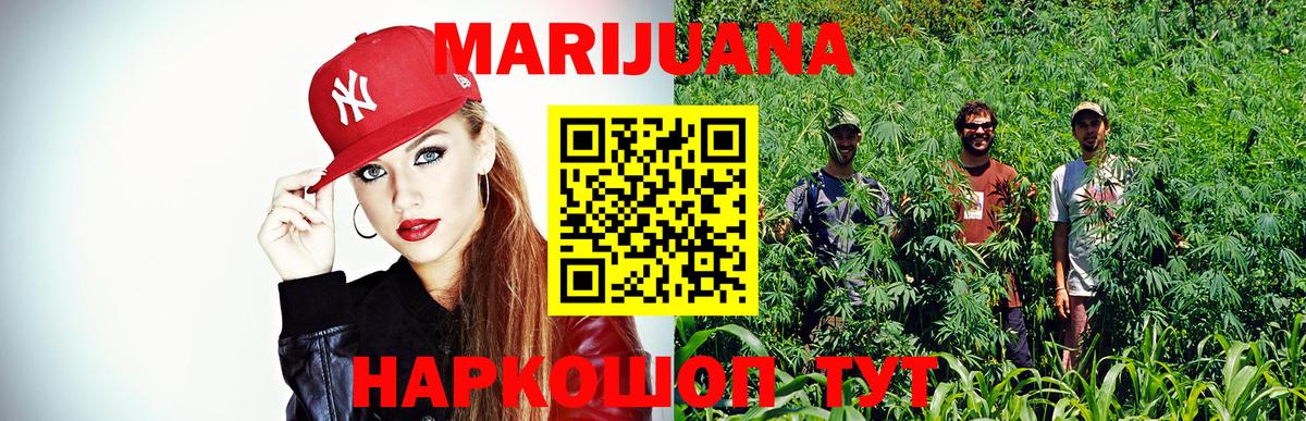Конопля OG Kush Тавда